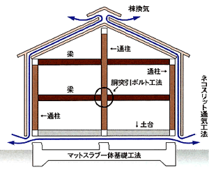 通柱フレーム構造イメージ