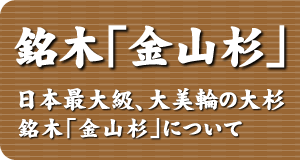 銘木「金山杉」